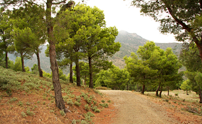 Portbou